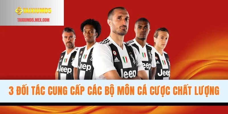 3 Đối tác cung cấp các bộ môn cá cược chất lượng