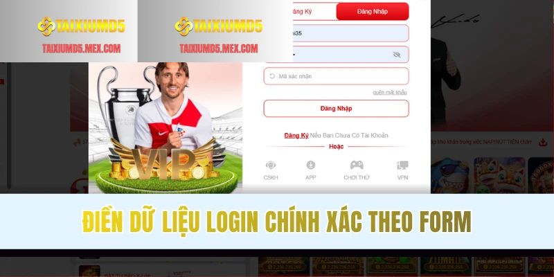 Điền dữ liệu vào biểu mẫu đăng nhập tài khoản