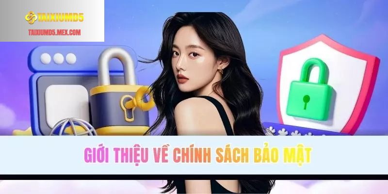 Đôi nét về chủ trương an ninh tại Tài Xỉu MD5