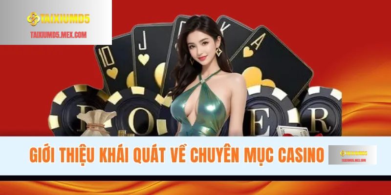 Giới thiệu khái quát về chuyên mục Casino Tài Xỉu MD5