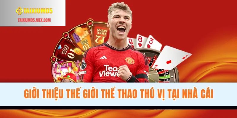 Giới thiệu thế giới thể thao Tài Xỉu MD5 thú vị