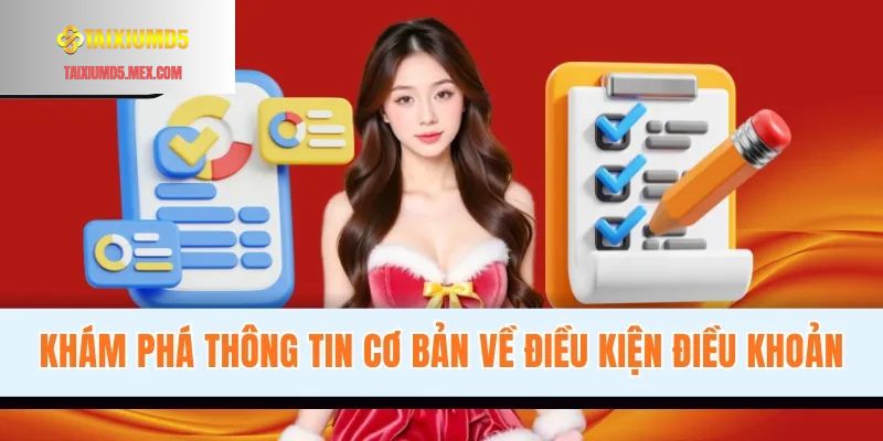 Khám phá thông tin cơ bản về điều kiện điều khoản
