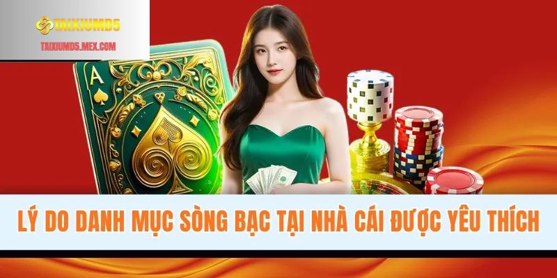 Lý do danh mục sòng bạc tại nhà cái được yêu thích