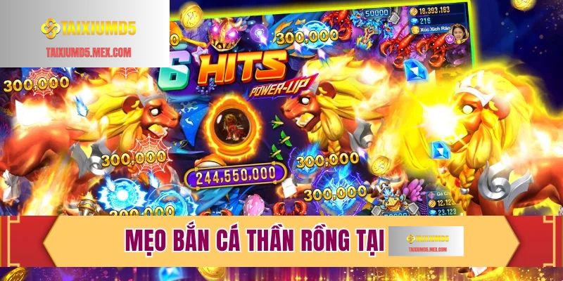 Mẹo bắn cá Thần Rồng tại Tài Xỉu MD5