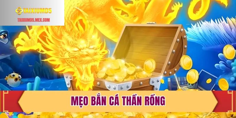 Mẹo Bắn Cá Thần Rồng Bách Phát, Bách Trúng Trong Năm 2026