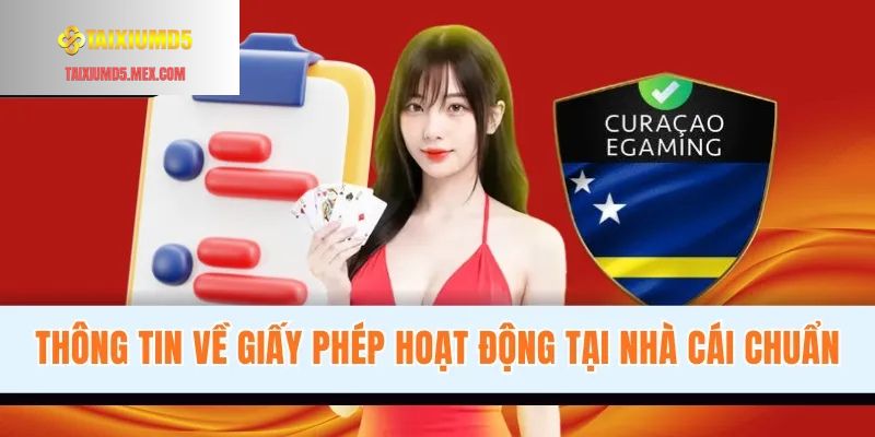 Thông tin về giấy phép hoạt động tại nhà cái Tài Xỉu MD5 chuẩn