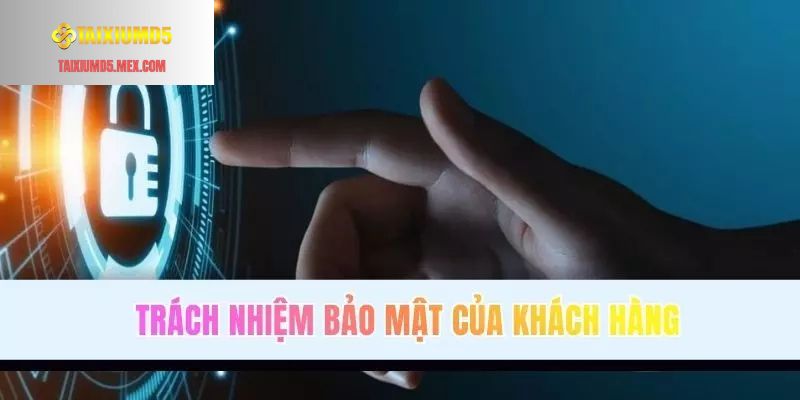 Trách nhiệm của hội viên khi giải trí trên hệ thống